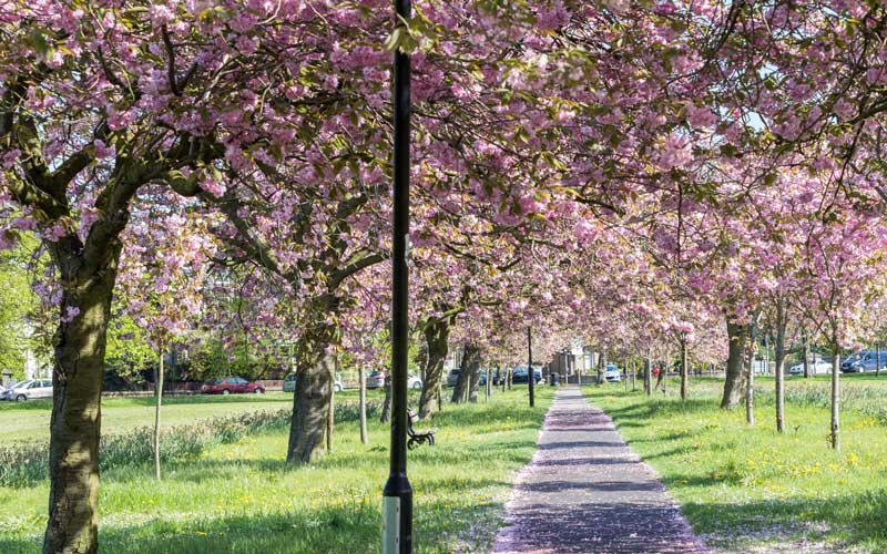 Feather Smailes Scales LLP