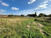 Images for York
