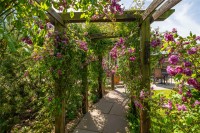 Images for Harrogate