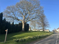 Images for Burton Leonard, Harrogate, North Yorkshire