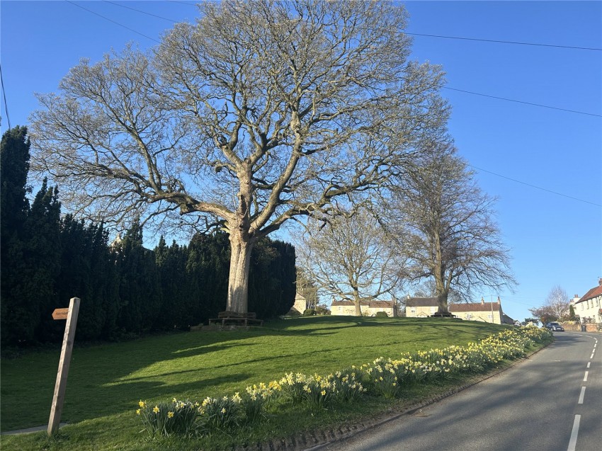 Images for Burton Leonard, Harrogate, North Yorkshire