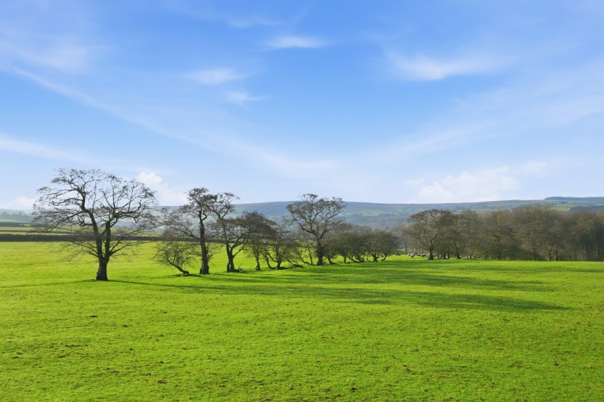 Images for Harrogate, North Yorkshire