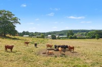 Images for Farnham, Knaresborough, North Yorkshire