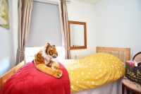 Images for Harrogate, North Yorkshire